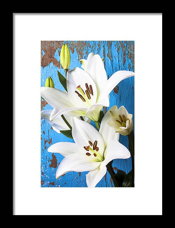 White Lily Framed Print featuring the photograph Lilies against blue wall by Garry Gay