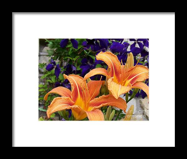 Lilies Framed Print featuring the photograph Lilies and Clematis by Jackie Mueller-Jones