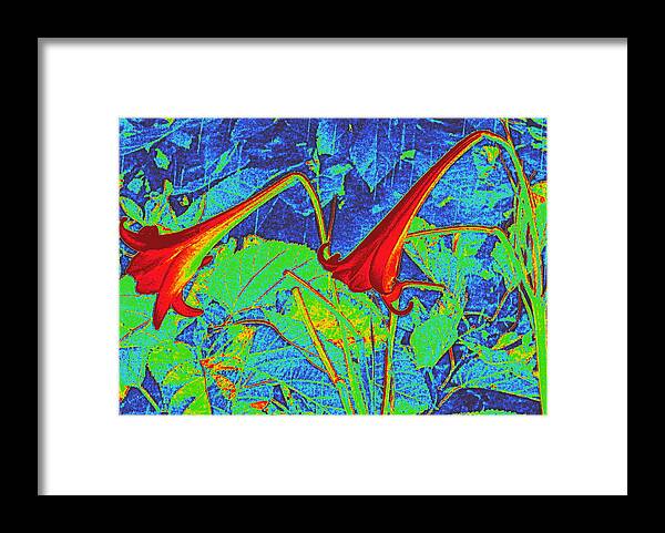 Flowers Framed Print featuring the digital art Lilies Turned Red by Randall Weidner