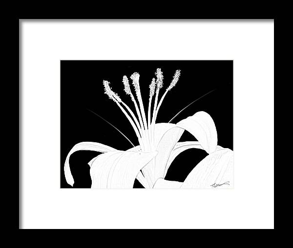 Anthony Fishburne Framed Print featuring the digital art Lilium black and white by Anthony Fishburne