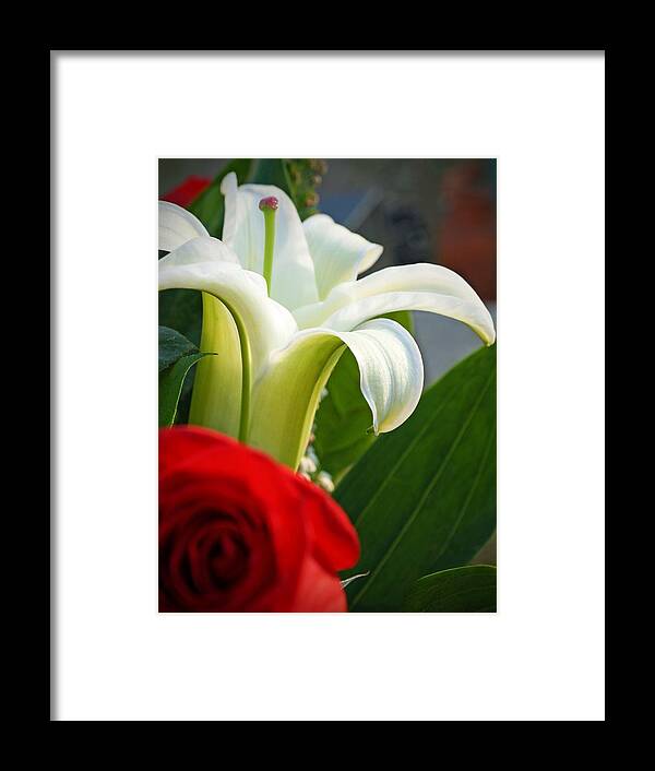 Lilly And Rose Framed Print featuring the photograph Lilly and Rose by Photographic Arts And Design Studio