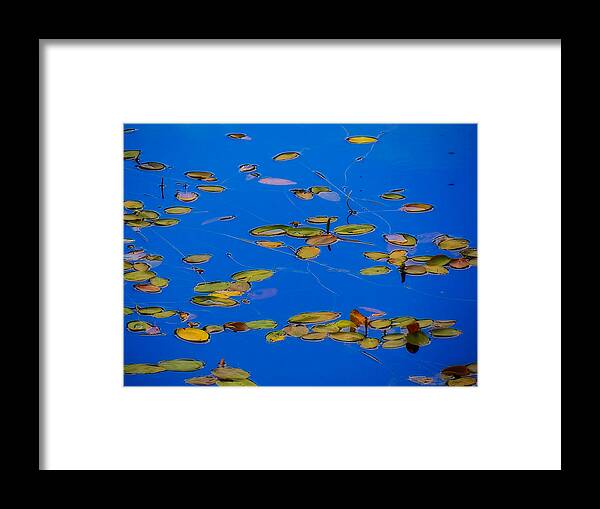 Lilly Framed Print featuring the tapestry - textile Lilly Pads by Dennis Bucklin