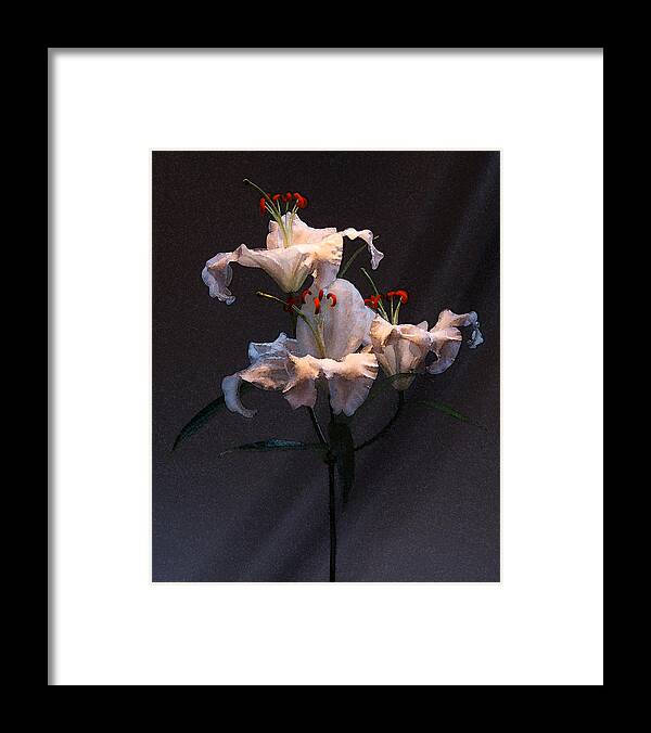 Framed Print featuring the photograph Lilly Variation #02 by Richard Wiggins