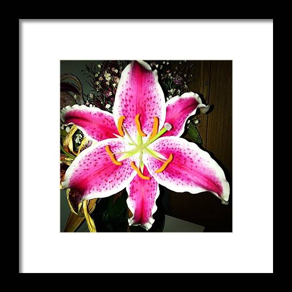 Pink Framed Print featuring the photograph #lily #closeup #pretty #flower by Amber Campanaro