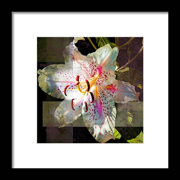 Evie Framed Print featuring the photograph Lily from Whitefish Point Michigan by Evie Carrier