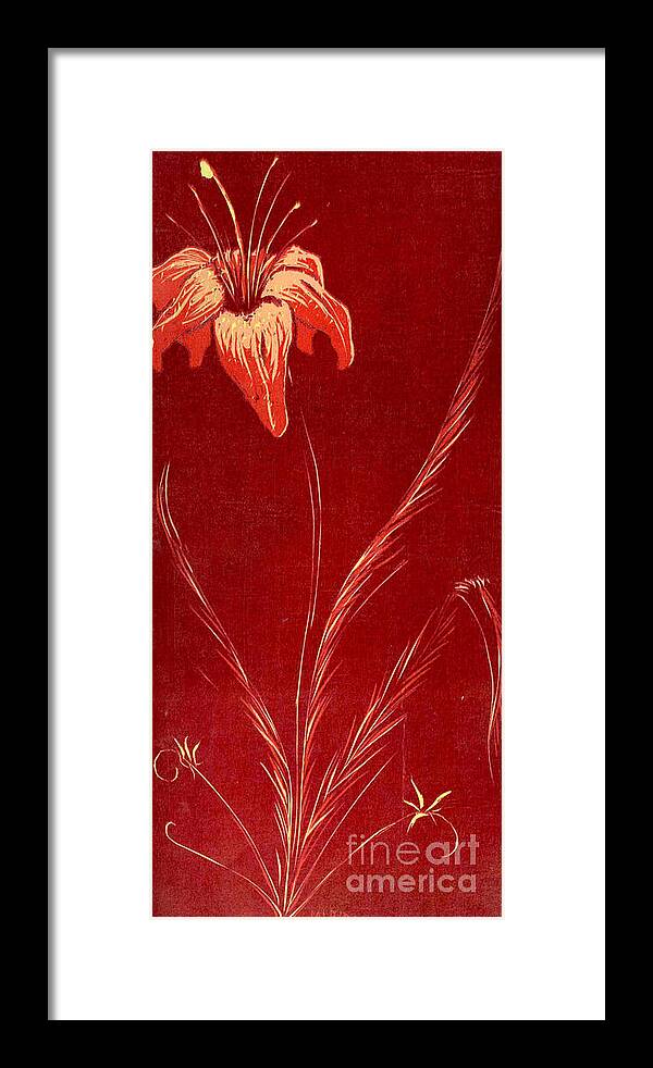 Lily Framed Print featuring the painting Lily - Limited Edition 1 of 4 by Michelle Bien