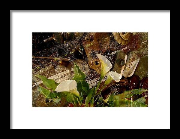 Calla Lily Framed Print featuring the photograph Lily of the Scrap Pile by Laureen Murtha Menzl