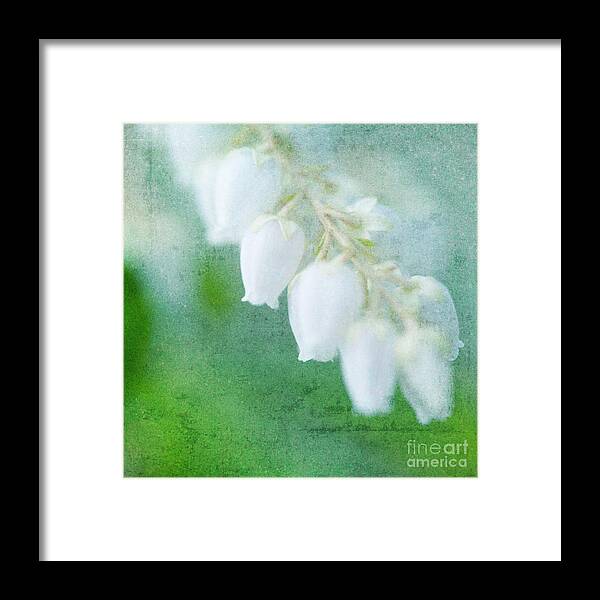 Lily Of The Valley Framed Print featuring the photograph Lily of the Valley by Kim Fearheiley