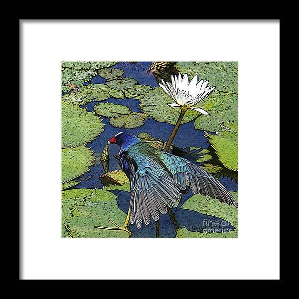 #lily #exoticbird #puntacana #dominicanrepublic #nature Framed Print featuring the digital art Lily Pad with Bird by Jacquelinemari