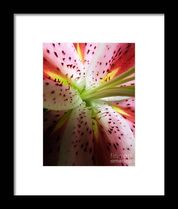 Flower Framed Print featuring the photograph Lily by Robyn King
