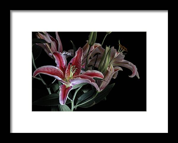 Lily Framed Print featuring the photograph Lily the Pink by Wayne Sherriff