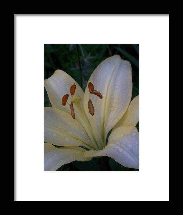 Lily Framed Print featuring the digital art Lily White by Wide Awake Arts