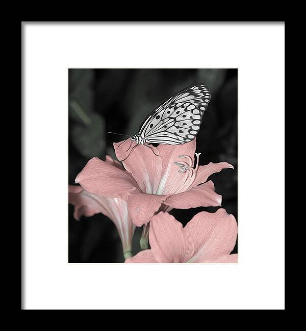 Lily Framed Print featuring the photograph Lily with Butterly by Tracy Winter