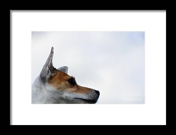 Dog Framed Print featuring the photograph Limitless by Susan Herber