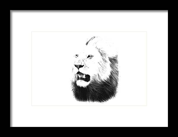Lion Framed Print featuring the photograph Lion Portrait - Lions of the Masai Mara by Aidan Moran