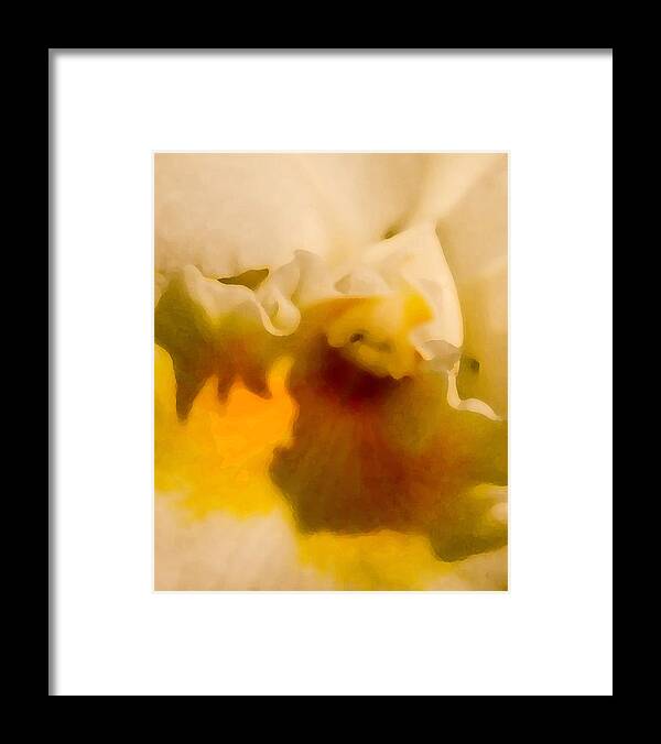 Orchid Framed Print featuring the photograph Liquid Gold by Jennifer Kano
