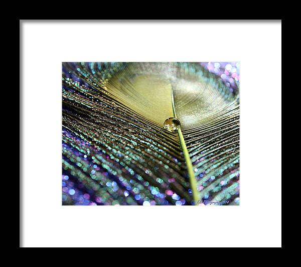 Feather Framed Print featuring the photograph Liquid Reflection by Krissy Katsimbras