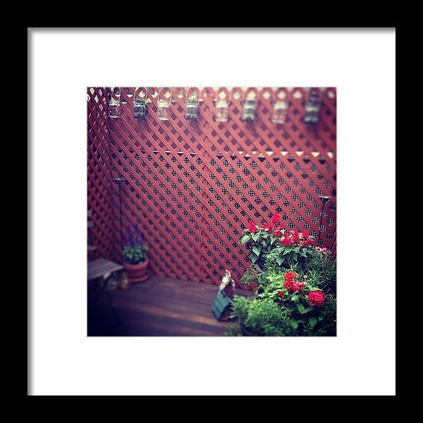  Framed Print featuring the photograph Little Garden In The City by Meredith Leah