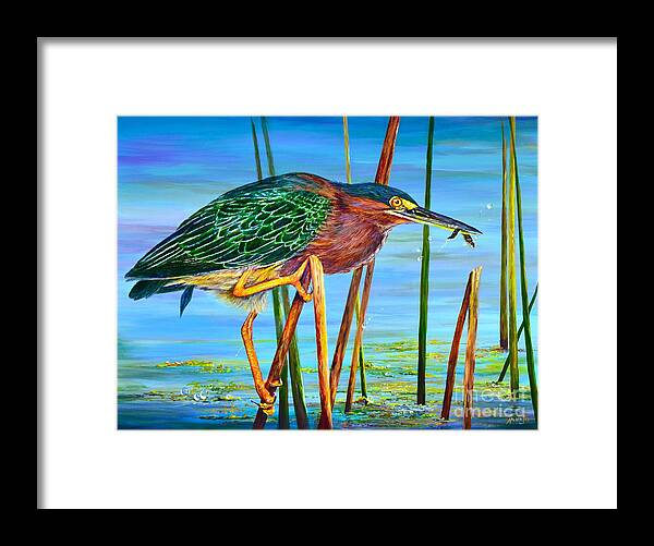 Perch Framed Print featuring the painting Little Green Heron by AnnaJo Vahle