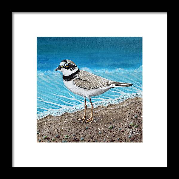 Plover Framed Print featuring the painting Little plover by Tish Wynne