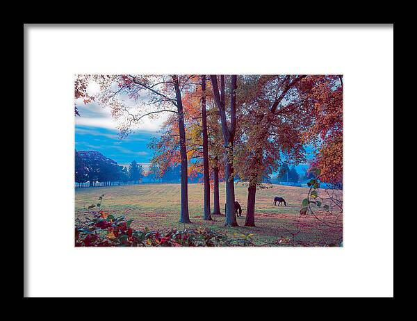 #ranch Framed Print featuring the photograph Little Timber Ranch by John Rivera