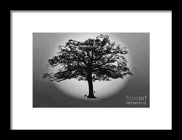 Squirrels Framed Print featuring the photograph Live oak and squirrels by Dan Friend