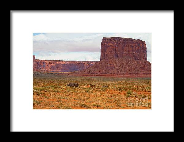 Red Soil Framed Print featuring the photograph Living Beneath the Butte by Jim Garrison
