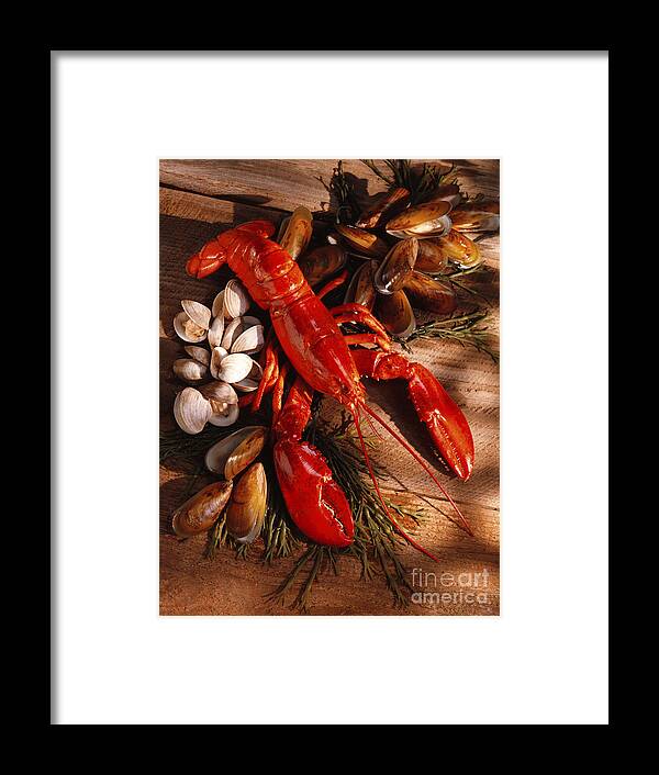 Food Framed Print featuring the photograph Lobster Clams and Mussels on Seaweed by Iris Richardson