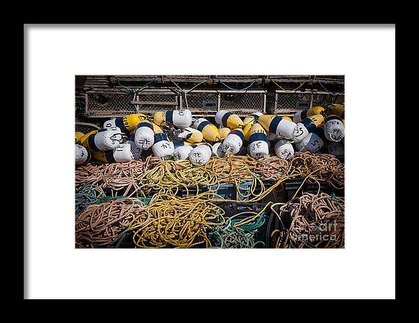 Floats Framed Print featuring the photograph Lobster fishing 4 by Elena Elisseeva