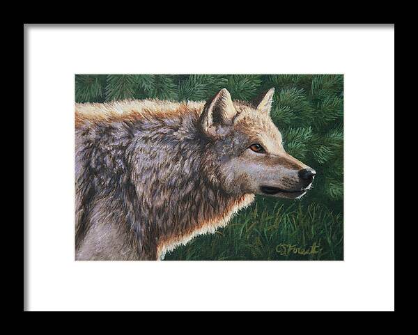 Dog Framed Print featuring the painting Grey Wolf - Locked by Crista Forest
