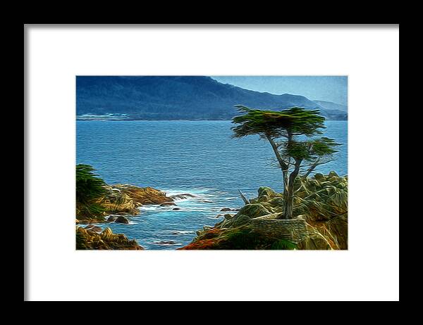 Lone Cyprus Framed Print featuring the digital art Lone Cyprus Digital Art by Ernest Echols