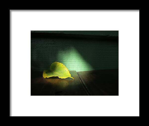 Leaf Framed Print featuring the photograph Lone Leaf by Paul Foutz