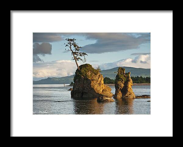 Bay Framed Print featuring the photograph Lone Tree on a Rock at Sunset by Jeff Goulden