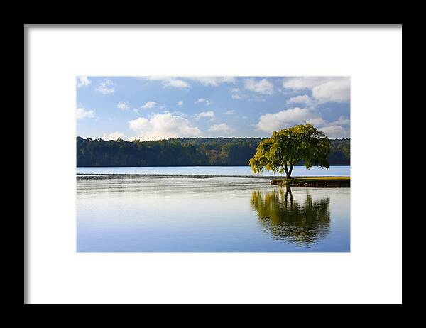 Tree Framed Print featuring the photograph Lone Tree on the River by Melinda Fawver