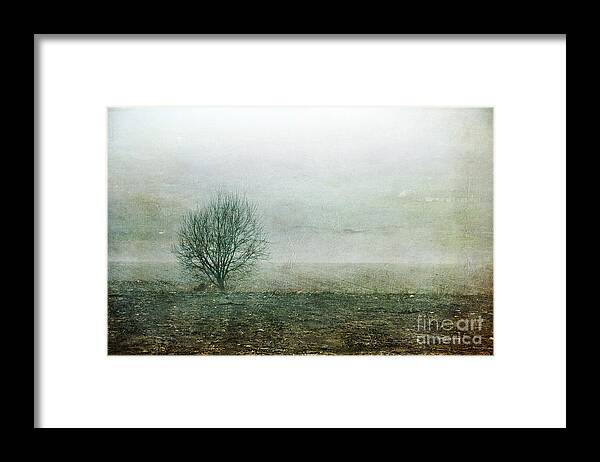 Tree Framed Print featuring the photograph Lone Tree by Randi Grace Nilsberg