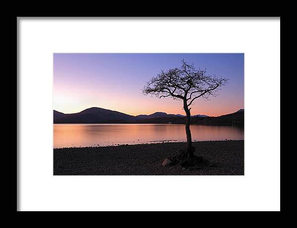 Loch Lomond Framed Print featuring the photograph Lone tree Sunset by Grant Glendinning