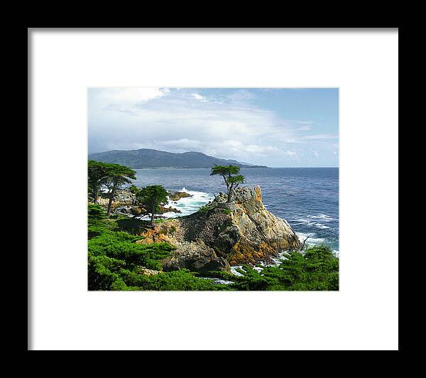 Landscape Framed Print featuring the photograph Lonely Cypress by Derek Dean