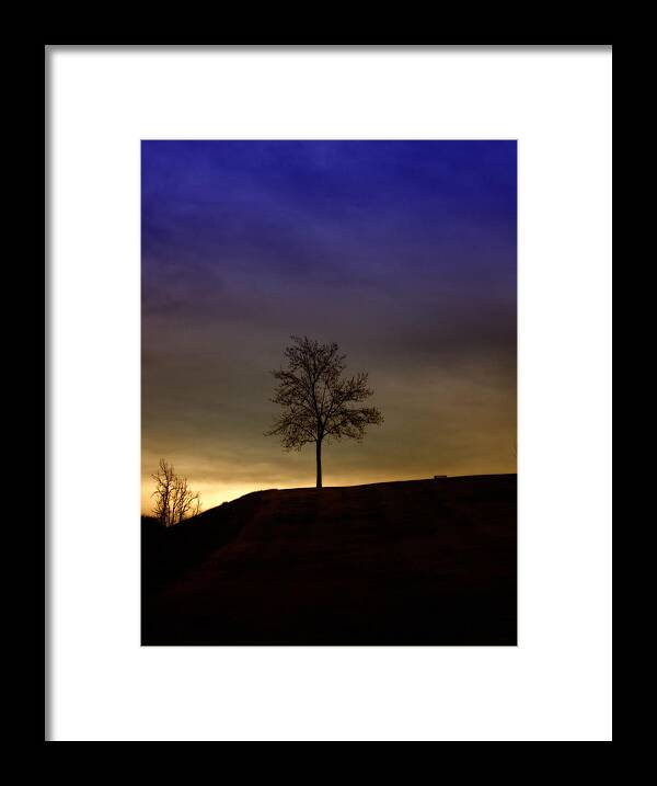 Single Tree Framed Print featuring the photograph Lonely Tree on Hill by David Zumsteg