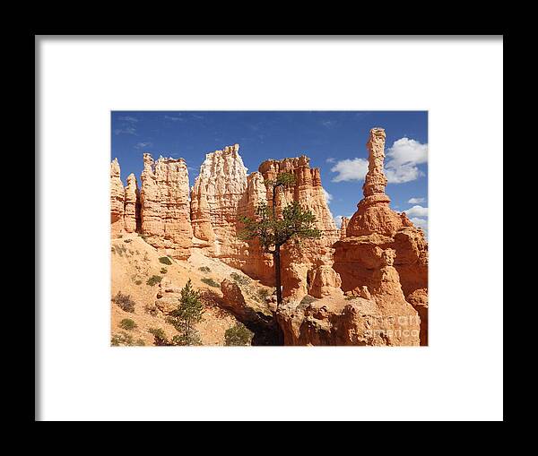 Bryce Canyon Framed Print featuring the photograph Lonely trees by Tonya Hance