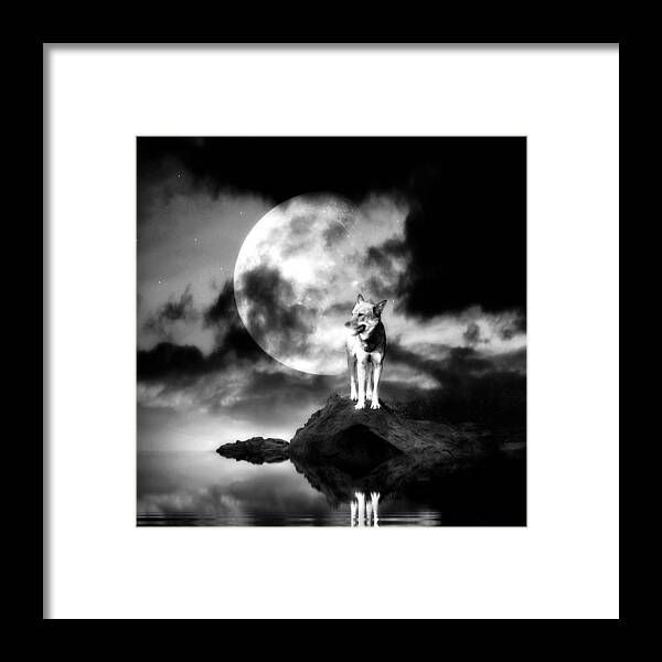 Abstract Framed Print featuring the photograph Lonely wolf with full moon by Jaroslaw Grudzinski