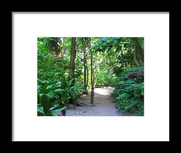 Phi Framed Print featuring the photograph Long Boat Tour - Phi Phi Island - 0113104 by DC Photographer