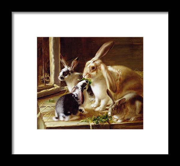 Eating Framed Print featuring the painting Long-eared rabbits in a cage watched by a cat by Horatio Henry Couldery