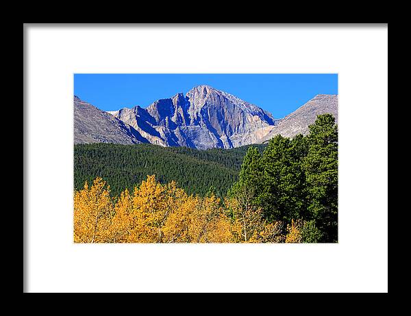 Mountains Framed Print featuring the photograph Longs Peak Autumn Aspen Landscape View by James BO Insogna