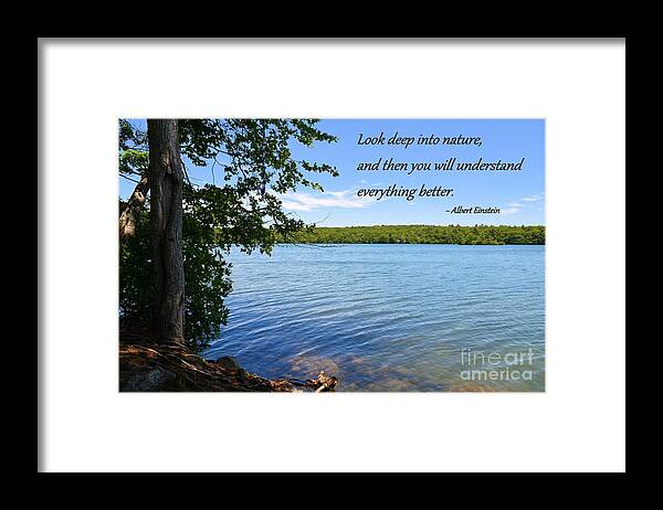 Pond Framed Print featuring the photograph Look Deep into Nature by Tammie Miller