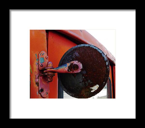 International Framed Print featuring the photograph Look Round by Richard Reeve
