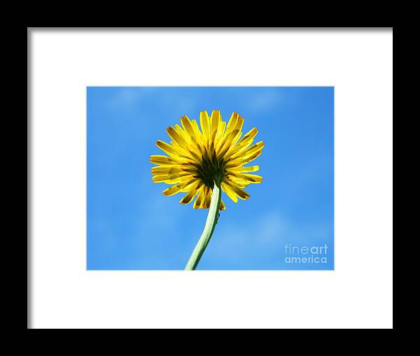 Yellow Framed Print featuring the photograph Look up to the sky by Andrea Anderegg