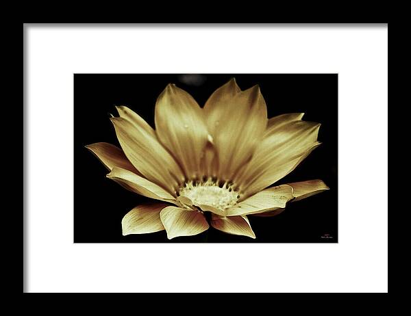 Nature Framed Print featuring the photograph Looking around-090 by Emilio Arostegui