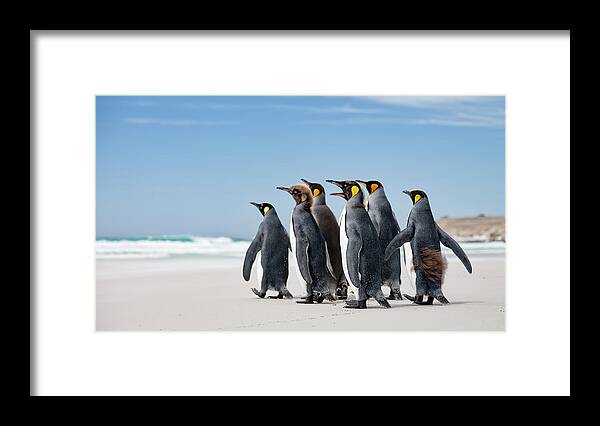 Group Framed Print featuring the photograph Looking At Sea by Joan Gil Raga