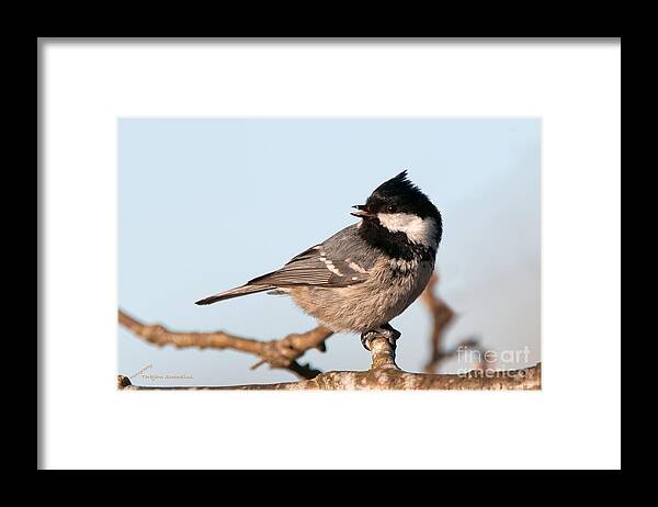 Looking Back Framed Print featuring the photograph Looking back by Torbjorn Swenelius