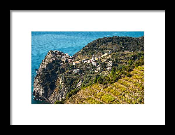 Italy Framed Print featuring the photograph Looking Down onto Corniglia by Prints of Italy